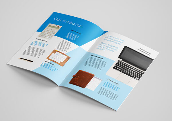 in catalog giá rẻ