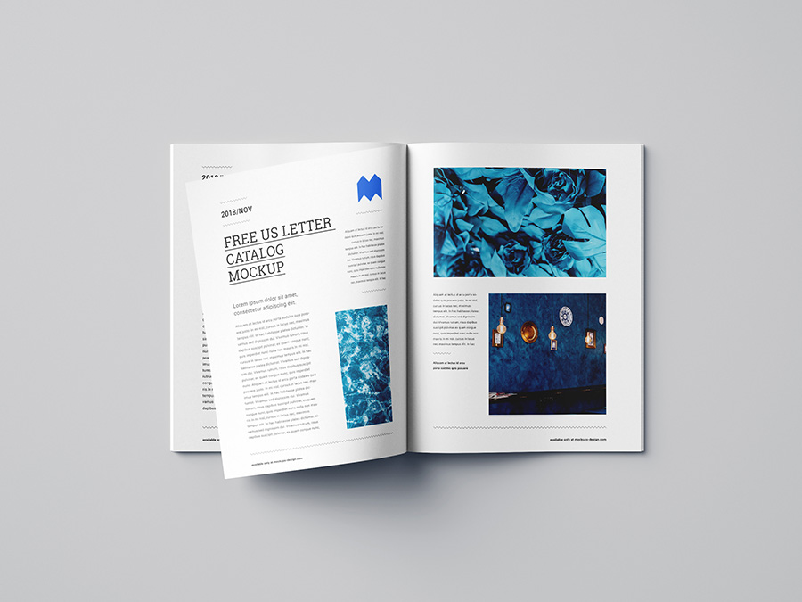 in catalogue giá rẻ